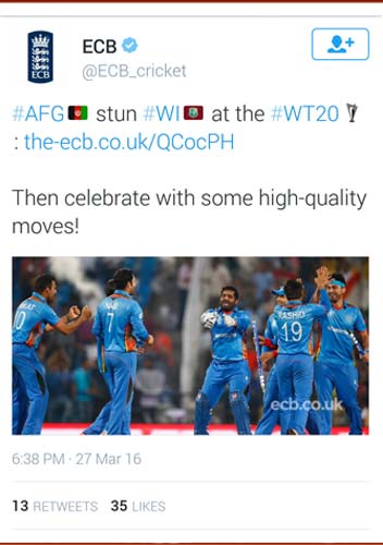 cricket reactions (4)