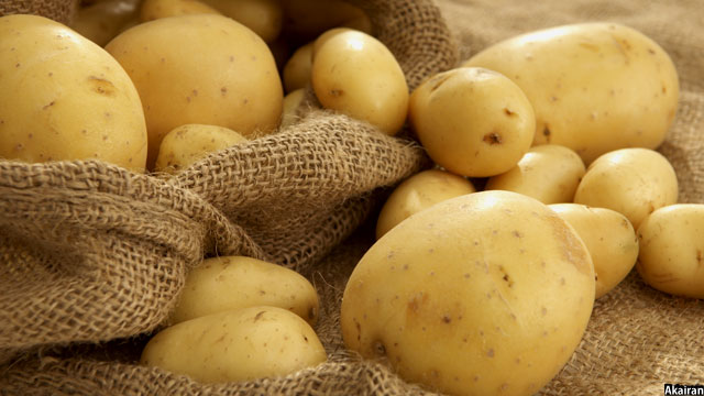 Potato in Afghanistan