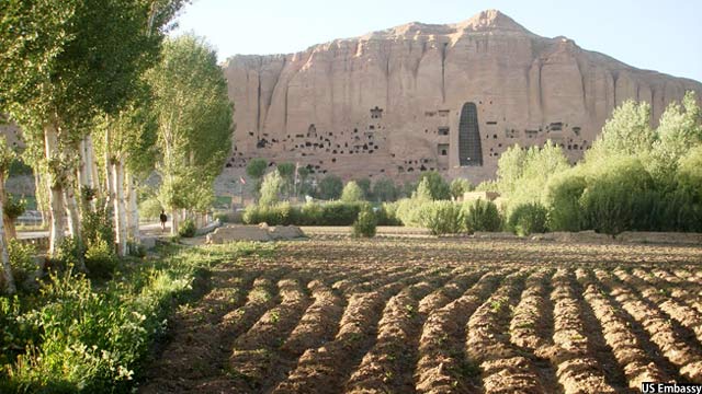 Bamyan Potato