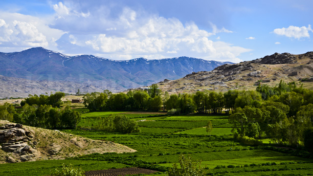 Kabul-Ghazni (9)