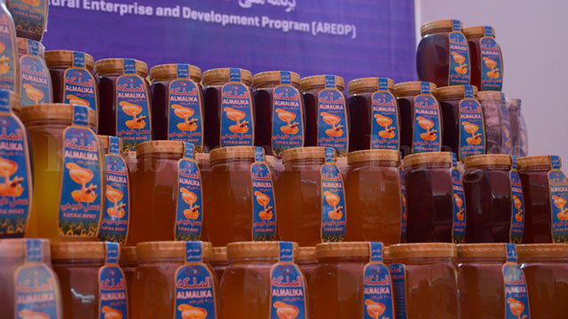 afghan-honey-bee