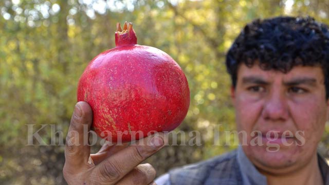 kandahar-pomegranate-market-in-kabul