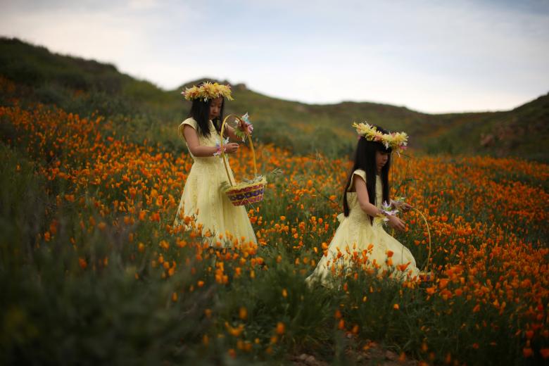 Julia Lu, 5, (L) and Amy Liu, 5, walk through a massive spring wildflower bloom caused by a wet winter in Lake Elsinore, California. REUTERS/Lucy Nicholson