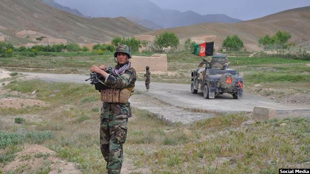 مقامات افغان از کشته شدن 51 تروریست در 24 ساعت گذشته خبر می دهند 