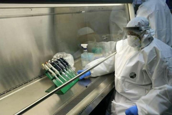 ثبت 172 مورد جدید ویروس کرونا