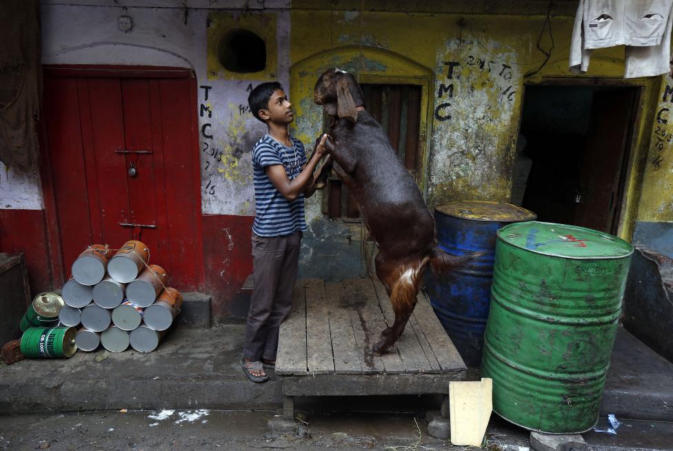 A boy plays with a goat at a roadside market in Kolkata, March 2, 2016.REUTERS/Rupak De Chowdhuri