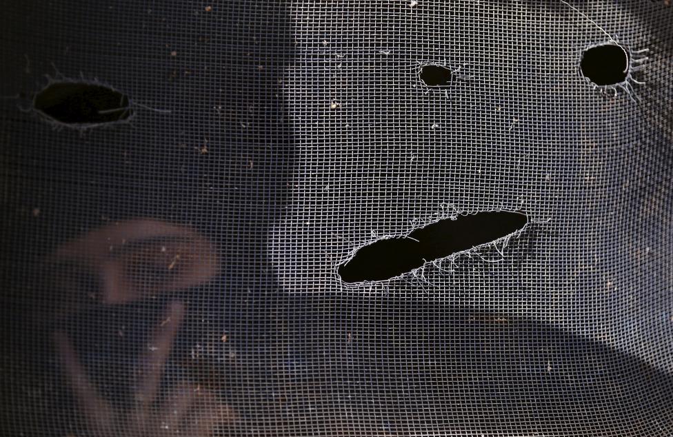 A Kashmiri Muslim woman looks through the damaged window of a residential house after a gunbattle in Dadsara village in south Kashmir March 3, 2016. REUTERS/Danish Ismail