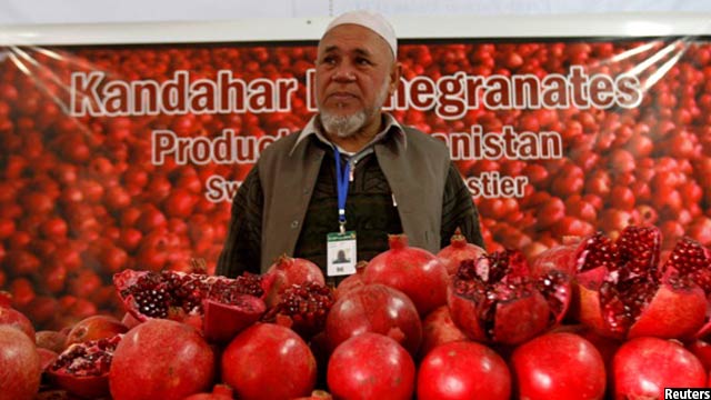 در سال جاری خورشیدی میوه های تازه افغانستان 30 درصد نسبت به سال گذشته افزایش داشته است