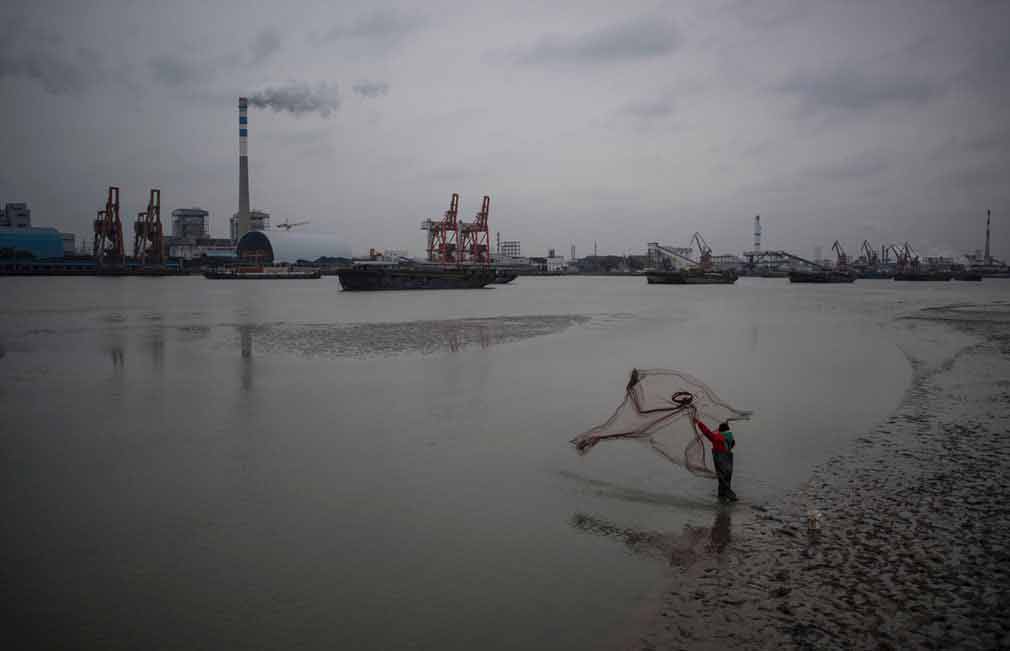 مرد چینی در حال ماهی گیری در شانگهای چین. تصویر از AFP