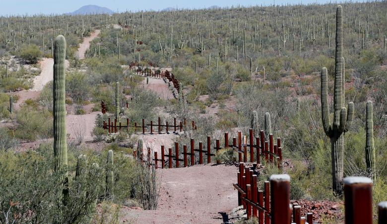 مرز ایالات متحده‌ی آمریکا با مکزیک. اطراف این مرز به صورت وسیع کاکتوس کاشته شده است تا مانع عبور غیر قانونی از آن شود / عکس: رویترز