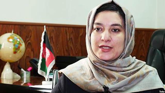 وسیمه بادغیسی، معاون عملیاتی کمیسیون مستقل انتخابات افغانستان