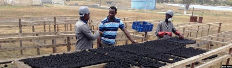 در رقابت با زغال؛ یک شرکت کینیایی مواد سوخت تازه‌ای از مدفوع انسان ساخته است