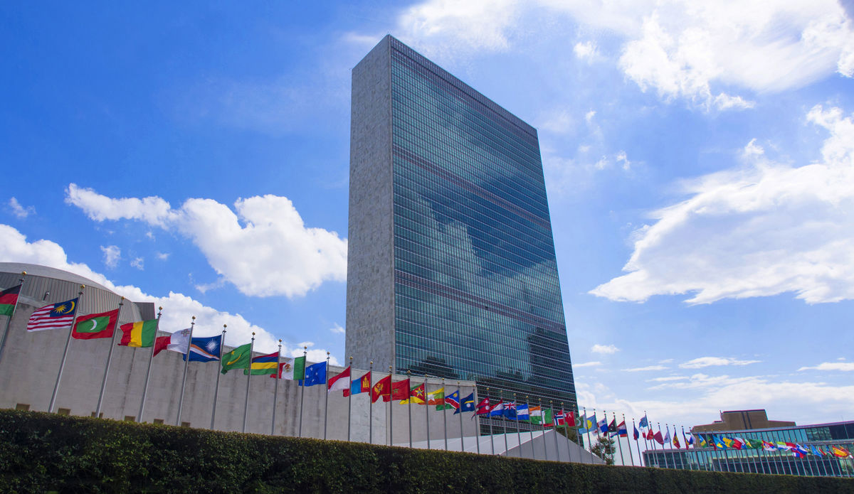  سازمان ملل متحد در سال ۲۰۰۴ برای انتخابات مجلس نمایندگان افغانستان، نظام نمایندگی تناسبی را پیشنهاد کرد، اما حامد کرزی، رئیس جمهوری پیشین با گروه مشورتی خود، قانون انتخابات را بر اساس نظام رأی واحد غیرقابل انتقال تعیین کرد