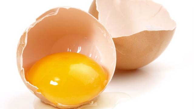 Egg-3