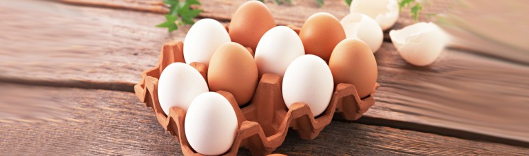 سلامتی خود را بیمه کنید؛ 9 نکته که تا به حال درباره تخم ‌مرغ نمی‌دانستید