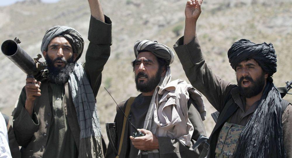به سفیر آمریکا گفته بود: "به طالبان یکسال وقت بدهید، همه افغانستان را خوشحال خواهند ساخت
