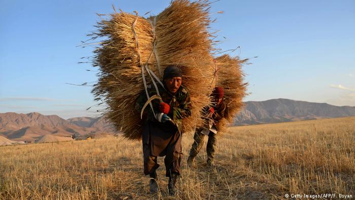 محمد اشرف غنی، رییس جمهوری افغانستان در این نشست حاشیه‌ای تاکید کرد که تولیدات کشاورزان زیاد است، اما حکومت باید برای این تولیدات بازاریابی کرده و زمینه صادرات محصولات آنان را به کشورهای منطقه و کشورهای اروپایی فراهم کند