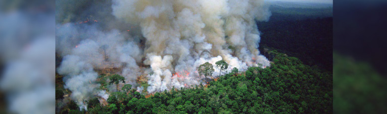 برزیل، بولیوی و پارگوئه در حالت اظطرار: روایت تصویری از آتش سوزی در جنگل های آمازون