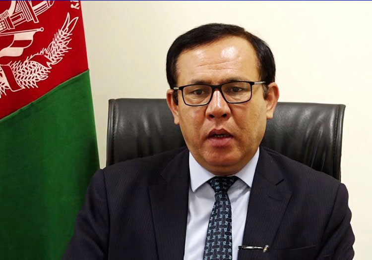 نعیم نظری، معاون کمیسیون حقوق بشر افغانستان