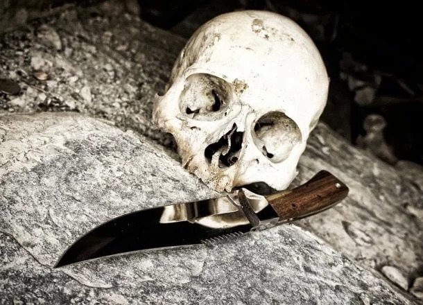 در سال ۱۹۸۸، یک مرد آمریکایی به نام مایکل هیل، از ضربه‌ی چاقو که به سرش وارد شده بود جان سالم به در برد! چاقویی که به سر هیل وارد شده بود بیش از ۲۰ سانت طول داشت! او به حدی خوش‌شانس بود که نه تنها زنده ماند بلکه مشهور هم شد.