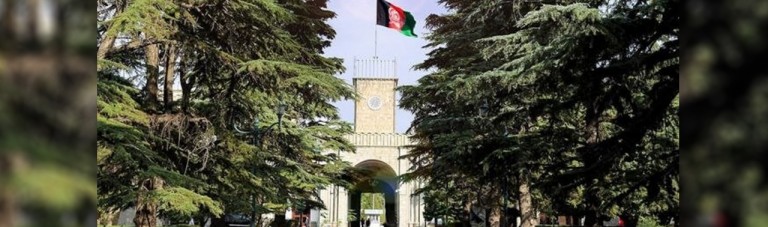 ثبت دارایی مقامات دولتی افغانستان؛ آمارها به ۱۸۰۰۰ تن رسید
