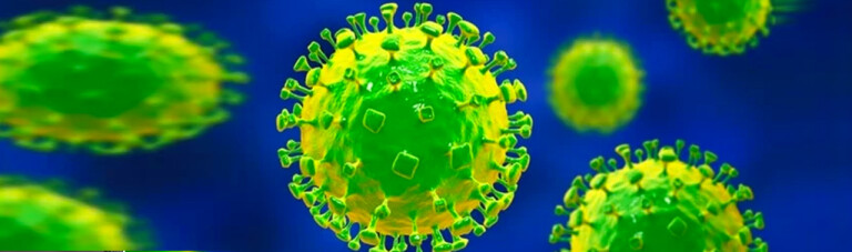 ویروس نیپا با نرخ مرگ و میر ۷۵٪ می‌تواند پاندمی بعدی باشد!