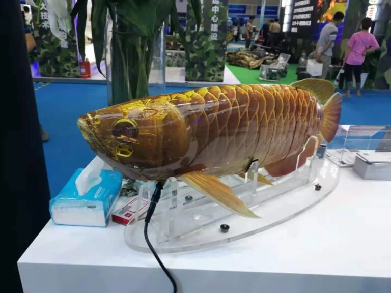ارتش چین از یک دِرون زیرآبی به شکل یک ماهی واقعی رونمایی کرد