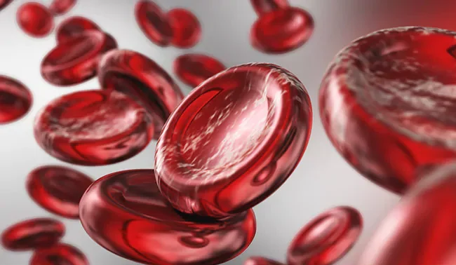 خوراکی های خون ساز افزایش تعداد گلبول های قرمز خون