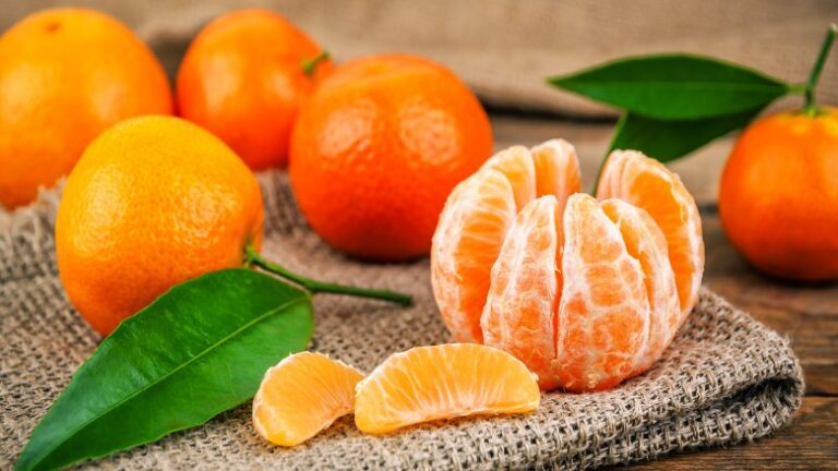 خواص نارنگی: پنج دلیل خوب که این پاییز و زمستان نارنگی بخورید