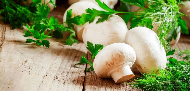 نگهداری قارچ در یخچال: منجمد کردن قارچ برای حفظ طعم و بافت آن تا یک سال