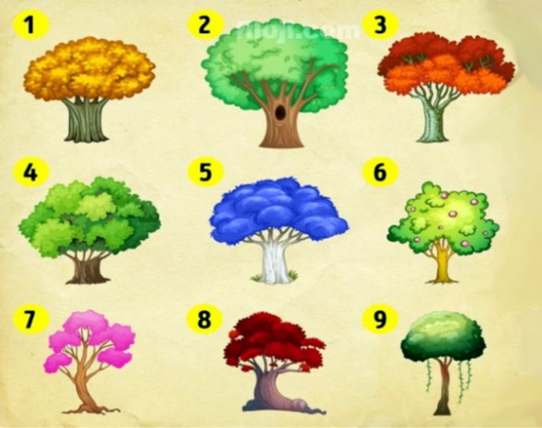تست شخصیت شناسی براساس رنگ درخت: درباره شخصیت خود اطلاعات کسب کنید