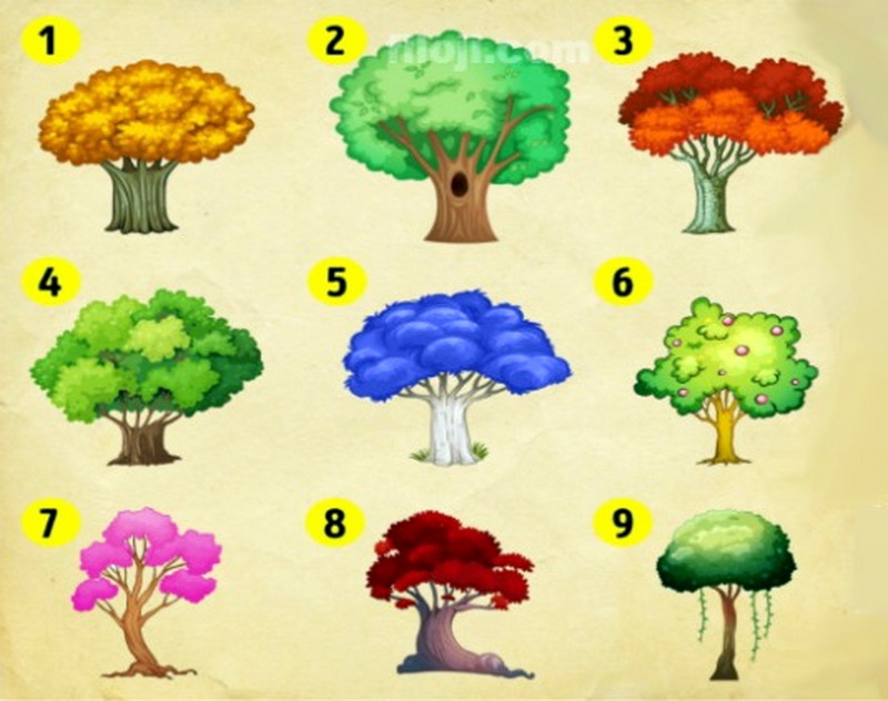 تست شخصیت شناسی براساس رنگ درخت