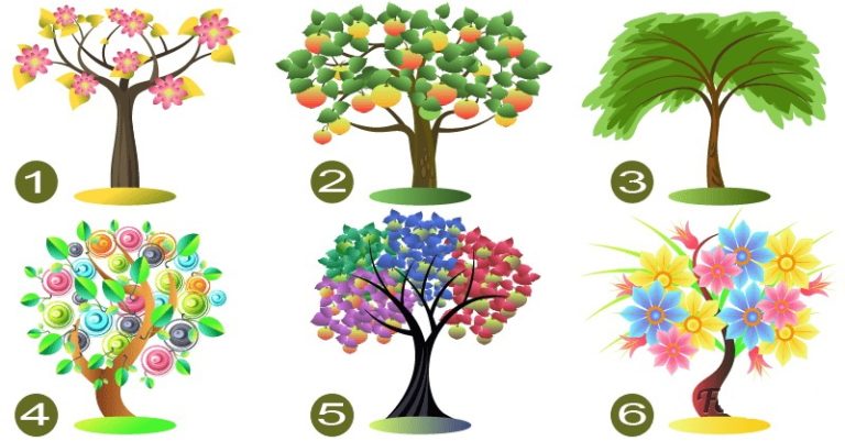 تست شخصیت:با انتخاب یکی از این درختها، ویژگی شخصیتی غالب خود را بشناسید!