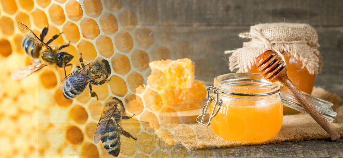 نحوه شناخت عسل طبیعی و واقعی