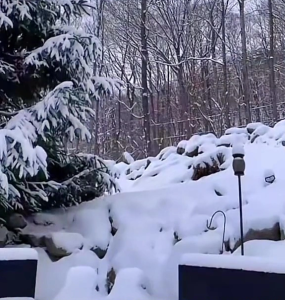آیا می توانید تک تیرانداز پنهان شده در برف را پیدا کنید؟