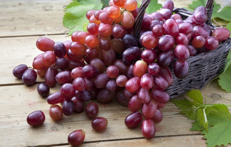 14 مزیت سلامتی شگفت انگیز انگور قرمز + ارزش غذایی