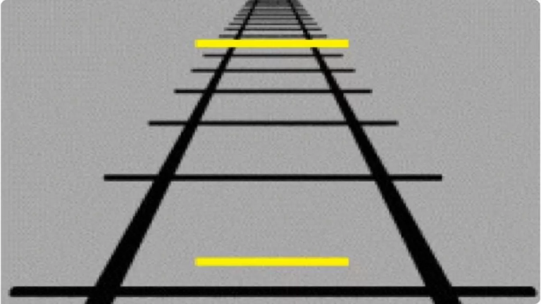 آزمون ذهن توهم پانزو: در 10 ثانیه تشخیص دهید کدام خط طولانی تر است؟