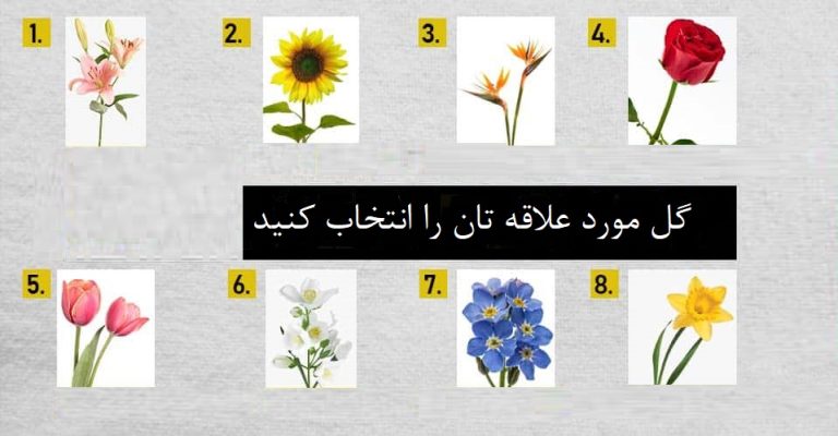 تست شخصیت گل ها: گل ها چه چیزی در مورد زندگی عاشقانه شما می گوید