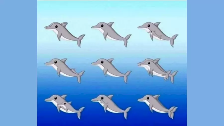 آزمون هوش دلفین ها: چند دلفین می بینید؟