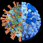 سرماخوردگی یا کرونا؛ کرونا ویروس: گلودرد در حال حاضر شایع ترین علامت کرونا است