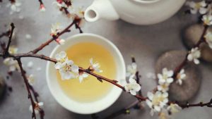 فواید چای سفید؛ از سلامت قلب تا استفاده در محصولات آرایشی و زیبایی