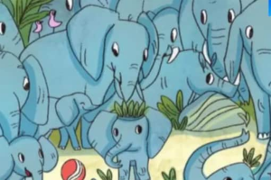 آزمون دقت با کرگدن: آیا می توانید کرگدن پنهان در میان فیل ها را پیدا کنید؟
