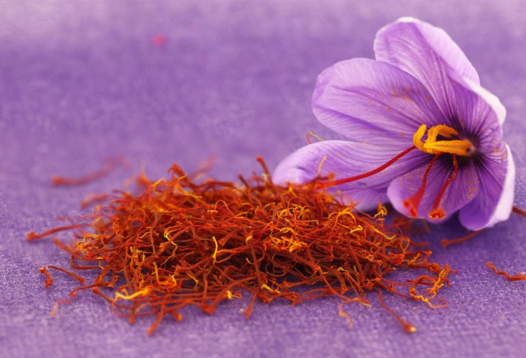 خواص گل زعفران؛ از درمان افسردگی تا تسکین التهاب و دردهای قاعدگی