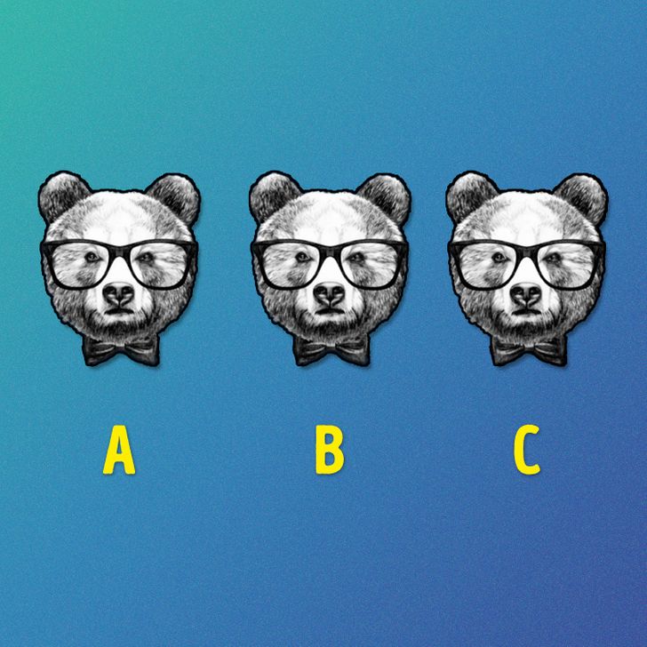 کدام خرس متفاوت است