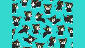 تست بینایی گربه های متفاوت: آیا می توانید در 6 ثانیه 3 گربه متفاوت را پیدا کنید؟