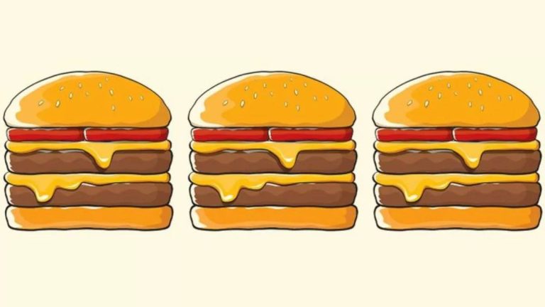 آزمون تشخیص همبرگر متفاوت: آیا می توانید در 7 ثانیه همبرگر متفاوت را تشخیص دهید؟
