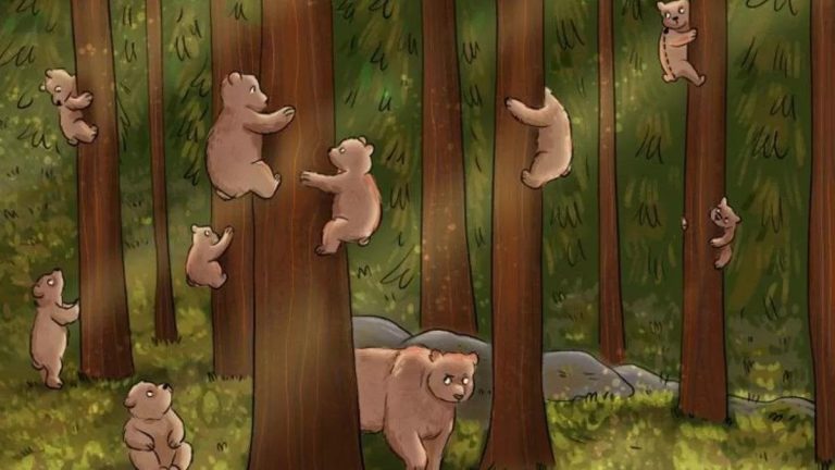 آزمون بینایی انسان پنهان: آیا می توانید در 11 ثانیه انسان مخفی شده در بین خرس ها را پیدا کنید؟