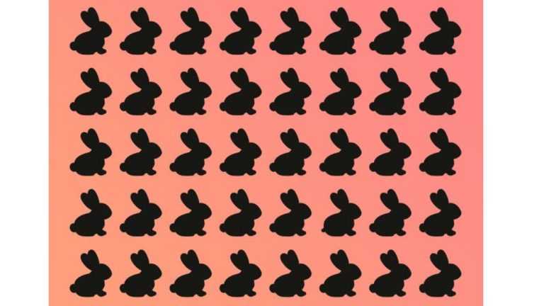 اگر چشمان تیزبینی دارید در 11 ثانیه خرگوش متفاوت را پیدا کنید!