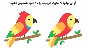 آزمون شناسایی تفاوت دو پرنده: فقط تیزبین ترین چشم ها می توانند 5 تفاوت دو عکس را در 12 ثانیه تشخیص دهند!