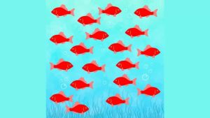 آزمون ماهی متفاوت: آیا می توانید در 6 ثانیه ماهی متفاوت را در تصویر پیدا کنید؟